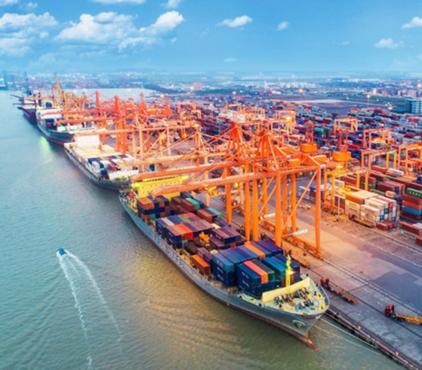 CÔNG TY TNHH GIAO NHẬN HÀNG HÓA NGÔ GIA
